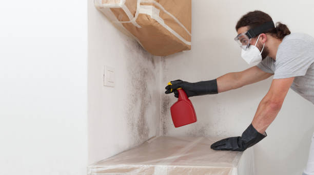 Professional Commercial Mold Remediation technician working in Islandia, NY
